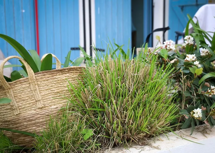 Nancys Seaside Loft, Santorini * Dhërmi